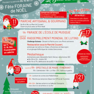 Voici le programme détaillé des animations pour le noël des lutins à Aire sur l’Adour. Préparez-vous pour un noël 2022 magique !