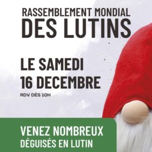 RASSEMBLEMENT MONDIAL DES LUTINS