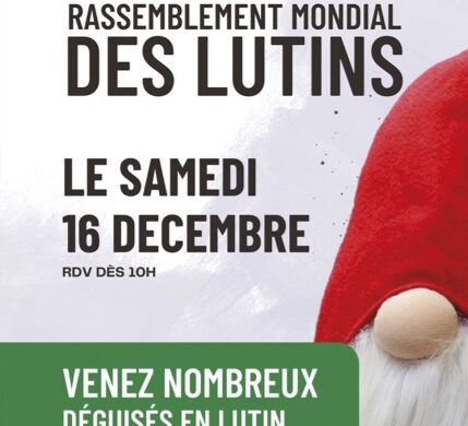 RASSEMBLEMENT MONDIAL DES LUTINS