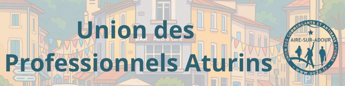 SONDAGE SUR LE COMMERCE DE CENTRE VILLE A AIRE SUR L’ADOUR