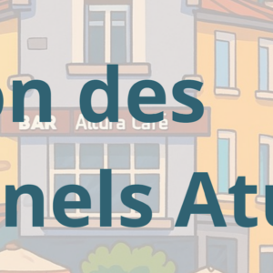 SONDAGE SUR LE COMMERCE DE CENTRE VILLE A AIRE SUR L’ADOUR