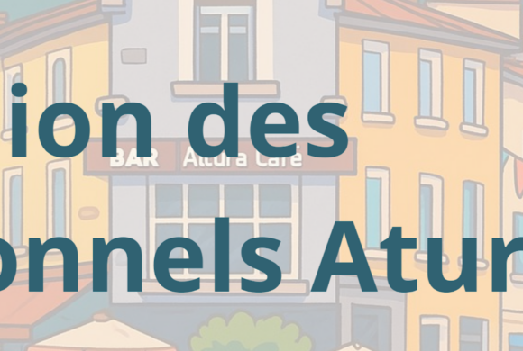 SONDAGE SUR LE COMMERCE DE CENTRE VILLE A AIRE SUR L’ADOUR